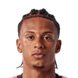 Leandro Santos Face Scan