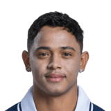 Pedrinho Face Scan
