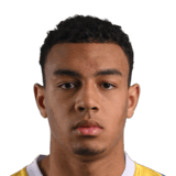 Bright Ede Face Scan