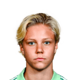 Saga Andersson Face Scan
