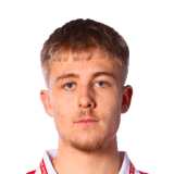 Elias Pihlström Face Scan