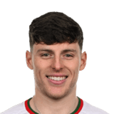 Harry Nevin Face Scan