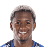 Emerson Pata Face Scan