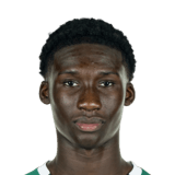 Karim Coulibaly Face Scan
