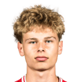 Frederik Emmery Face Scan