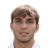 Mihajlo Cvetković Face Scan