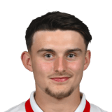Dominik Biniek Face Scan