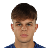 Patrick Dulcea Face Scan