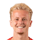 Martin Rossignol Face Scan