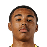 Tristan Brown Face Scan