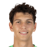 Giorgi Kavlashvili Face Scan