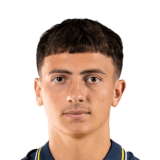Giovani Versini Face Scan