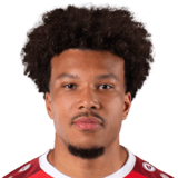 Louis Siliadin Face Scan