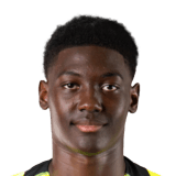 Mathis Ntessa Face Scan