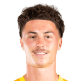 Viktor Džodić Face Scan