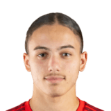 Ibrahim Raache Face Scan