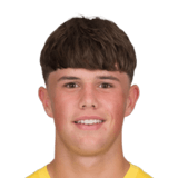 Pepijn Reulen Face Scan
