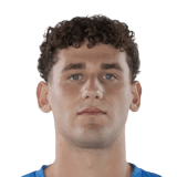 Gioele Zacchi Face Scan