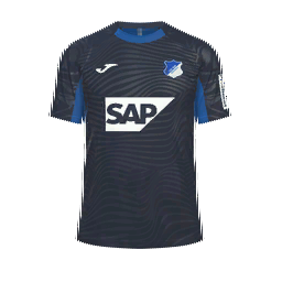 TSG 1899 Hoffenheim Home Kit kit