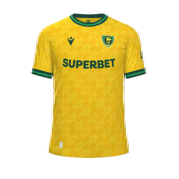 GKS Katowice Home Kit kit