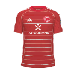 Fortuna Düsseldorf Home Kit kit