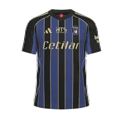 Pisa Home Kit kit