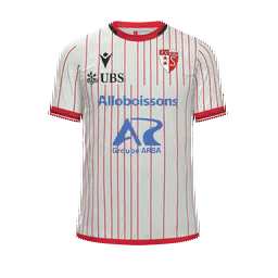 FC Sion Home Kit kit