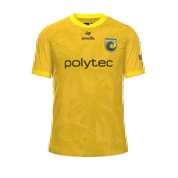 Central Coast Mariners Home Kit kit