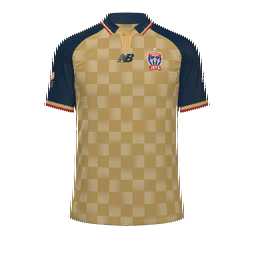 Newcastle Jets Home Kit kit