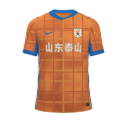 Shandong Taishan Home Kit kit
