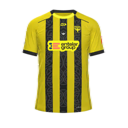 Wellington Phoenix Home Kit kit