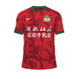 Henan FC Home Kit kit