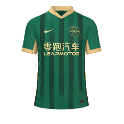 Zhejiang Professional FC Home Kit kit
