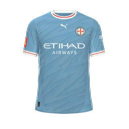 Melbourne City Home Kit kit