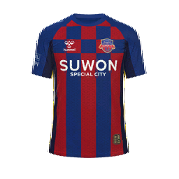 Suwon FC Home Kit kit