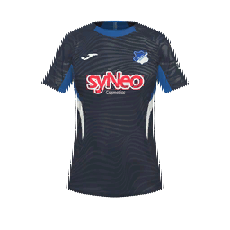 TSG 1899 Hoffenheim Home Kit kit