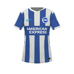 Brighton & Hove Albion Home Kit kit