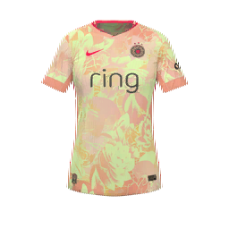 Portland Thorns FC Home Kit kit