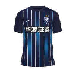 Wuhan Three Towns Home Kit kit