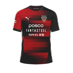 Pohang Steelers Home Kit kit