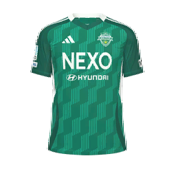Jeonbuk Hyundai Motors Home Kit kit