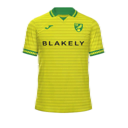Norwich City Home Kit kit