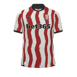 Stoke City Home Kit kit
