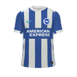Brighton & Hove Albion Home Kit kit
