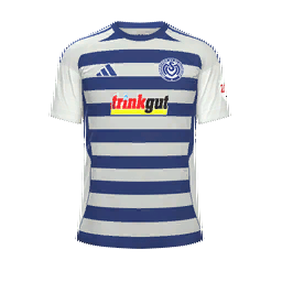 MSV Duisburg Home Kit kit
