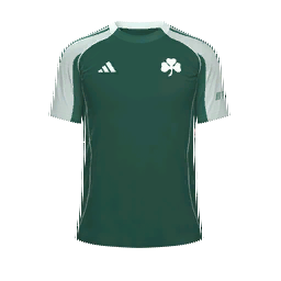 Panathinaikos Home Kit kit