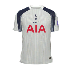 Tottenham Hotspur Home Kit kit