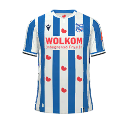 sc Heerenveen Home Kit kit