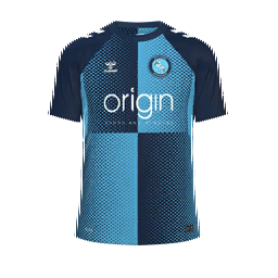 Wycombe Wanderers Home Kit kit
