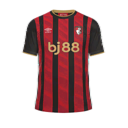 AFC Bournemouth Home Kit kit